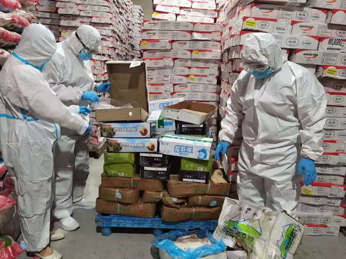 烏蘭察布市場(chǎng)監(jiān)管局強(qiáng)化進(jìn)口冷鏈?zhǔn)称放c奶制品監(jiān)管，突擊檢查批發(fā)及進(jìn)出口環(huán)節(jié)